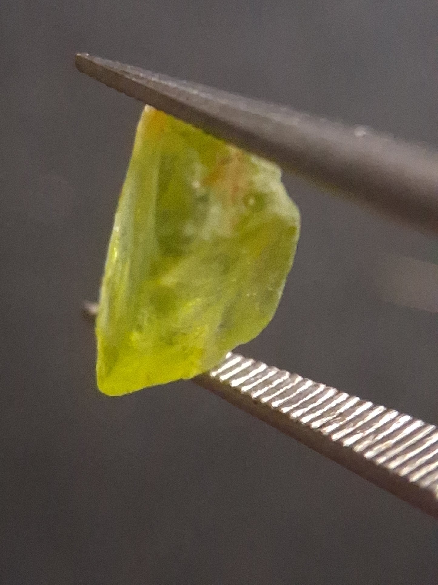 Natural Green Peridot - 1.651 ct - rough gemstone - for faceting - good color and luster - Natural Gems Belgium