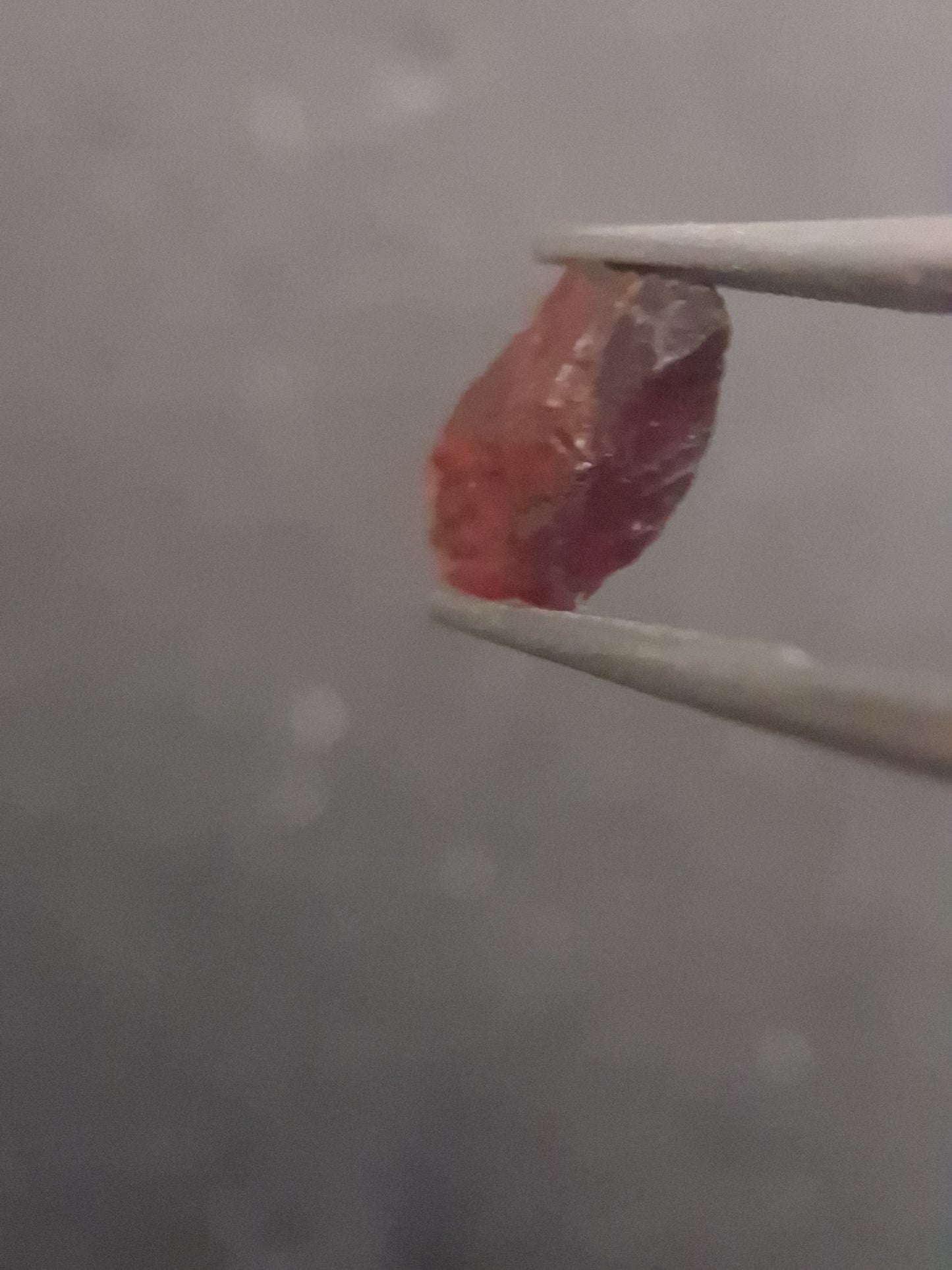 Rough Garnet - 1.421 ct - pyrope almandite - unheated - red - Natural Gems Belgium
