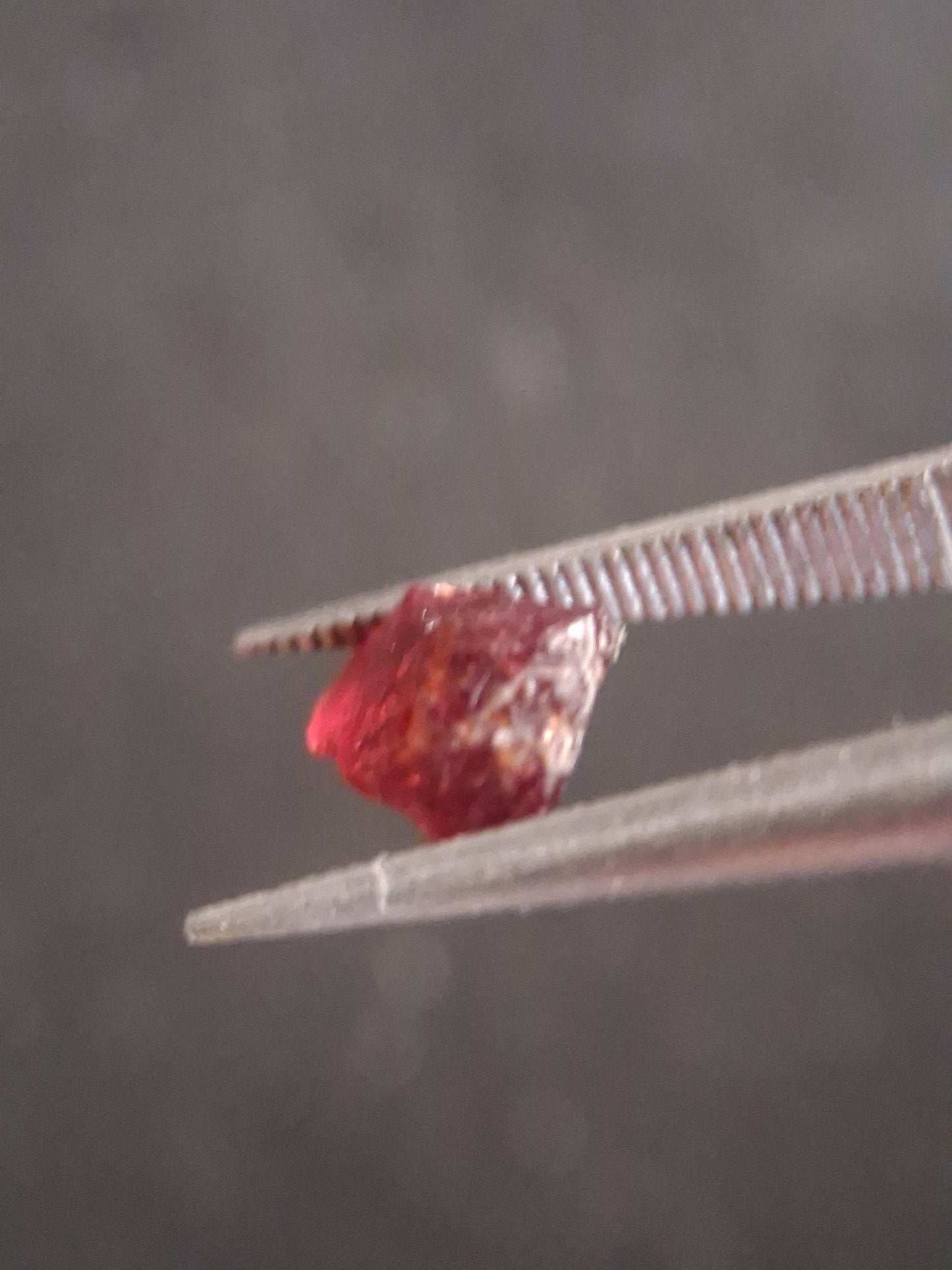 Rough Garnet - 1.386 ct - pyrope almandite - unheated - red - Natural Gems Belgium