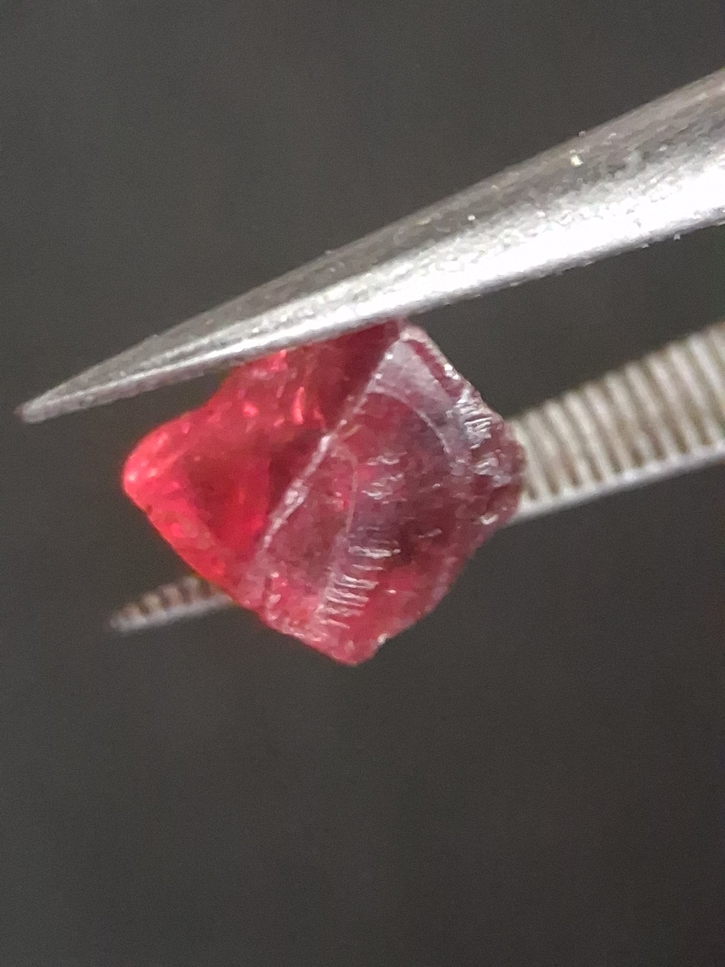 Rough Garnet - 1.578 ct - pyrope almandite - unheated - red - Natural Gems Belgium