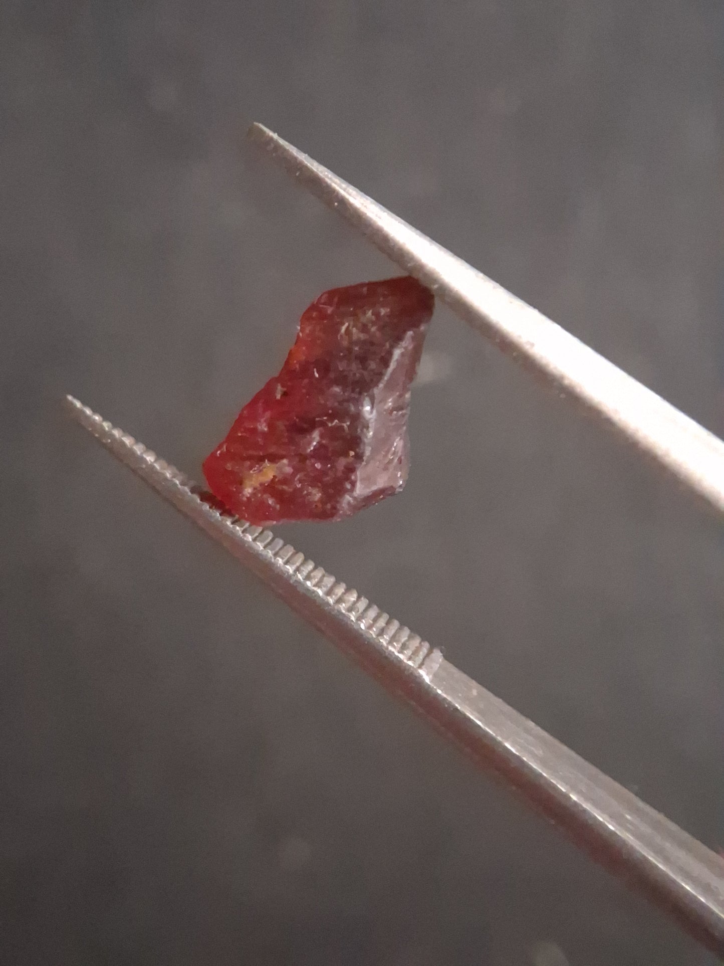 Rough Garnet - 1.575 ct - pyrope almandite - unheated - red - Natural Gems Belgium