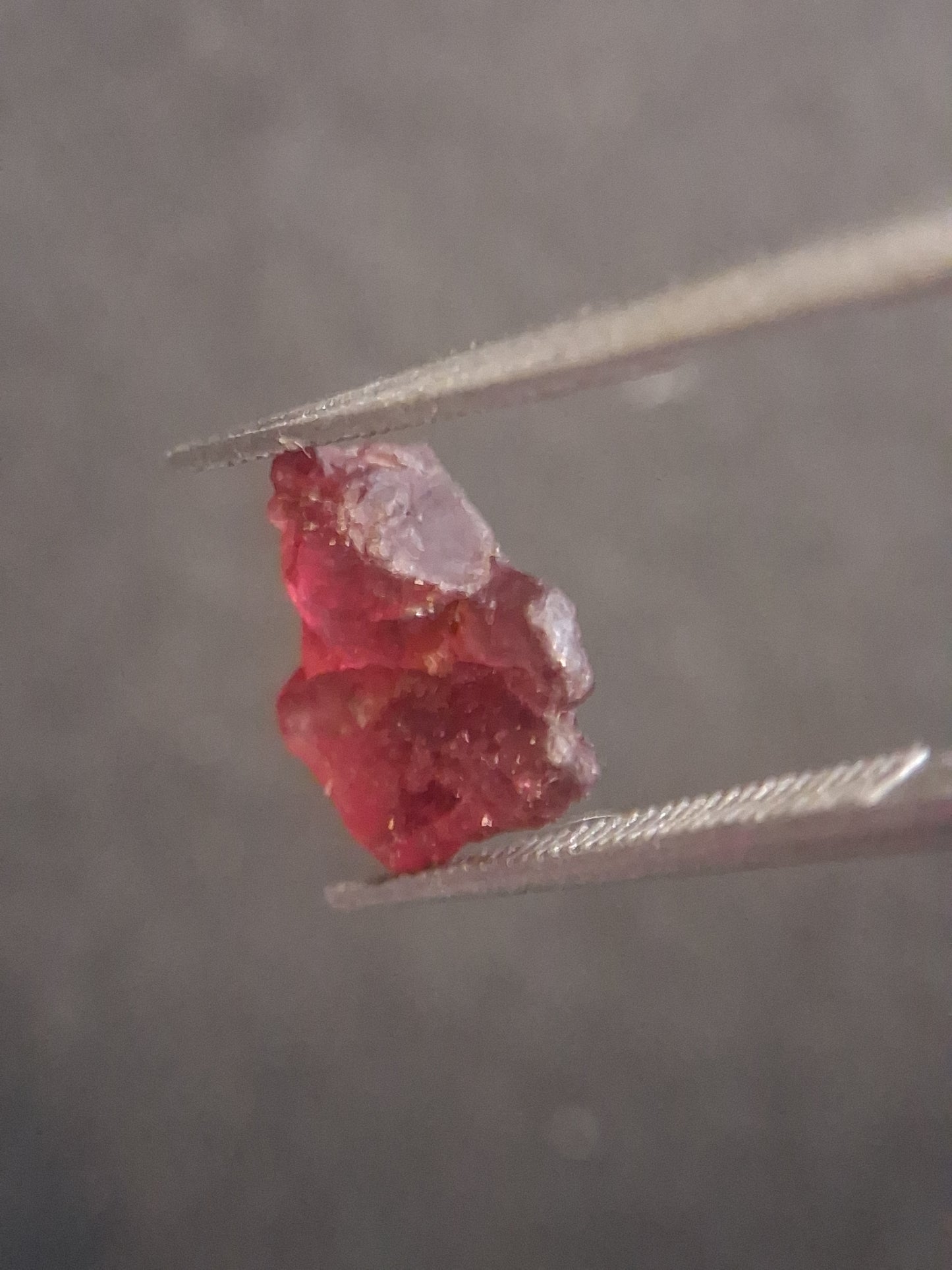Rough Garnet - 1.915 ct - pyrope almandite - unheated - red - Natural Gems Belgium