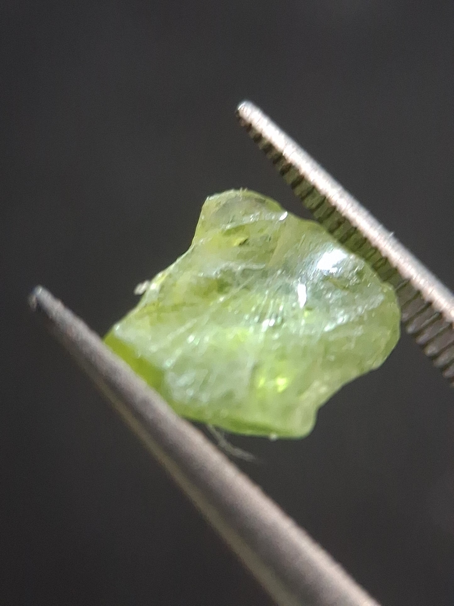 Natural Green Peridot - 1.545 ct - rough gemstone for faceting or rough gemstone jewelry - Natural Gems Belgium