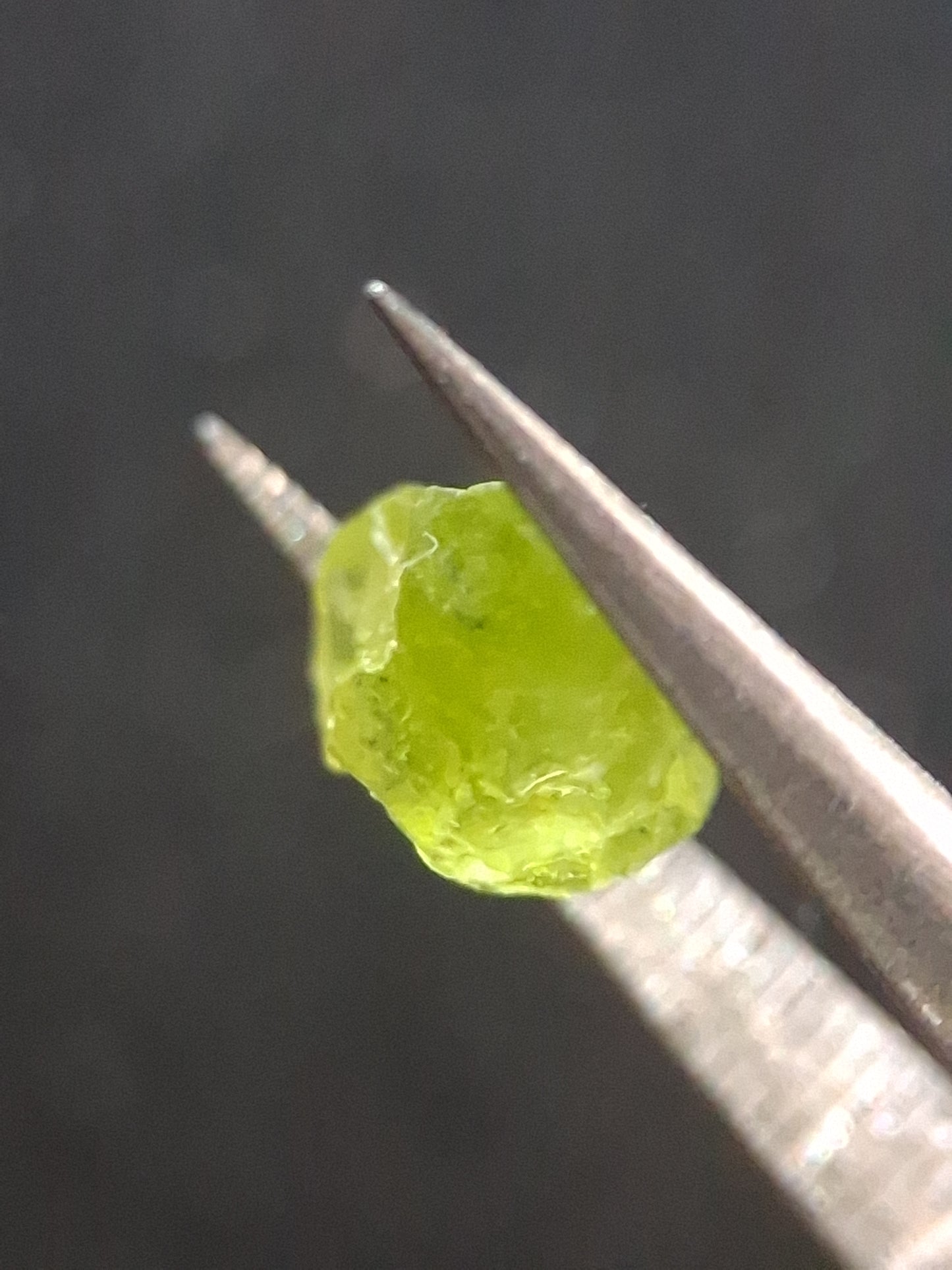 Natural Green Peridot - 1.559 ct - rough gemstone for faceting or rough gemstone jewelry - Natural Gems Belgium