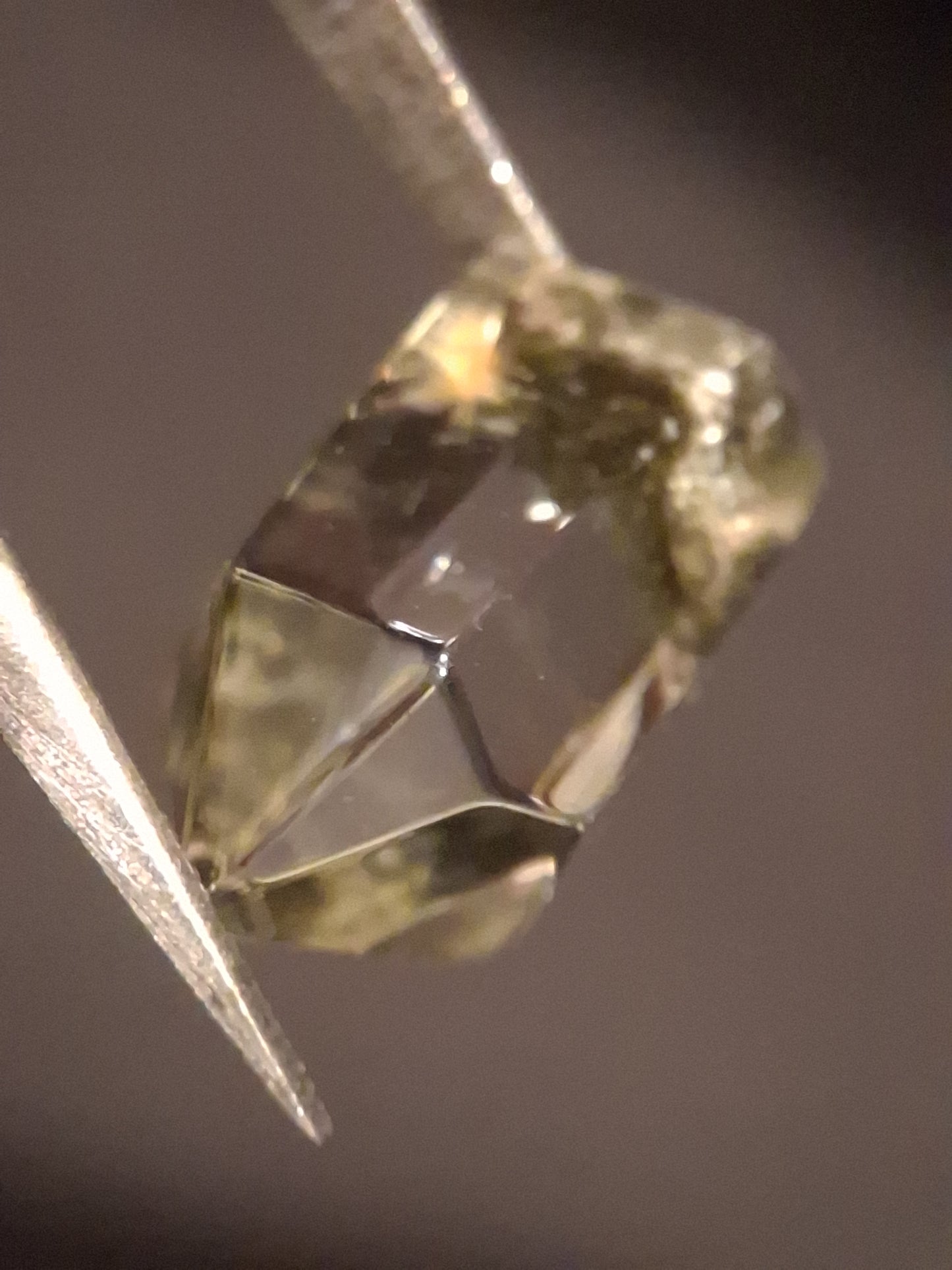 Crystal point of Phantom Quartz - gardenscape yellow flower in desert - collectors item