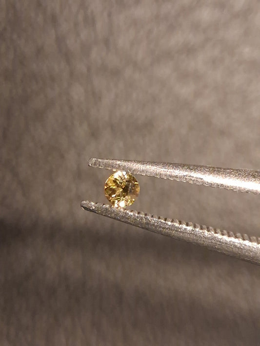 Natural Tourmaline - greenish brownish yellow - 2 mm - 0.031 ct - round - unheated - Natural Gems Belgium