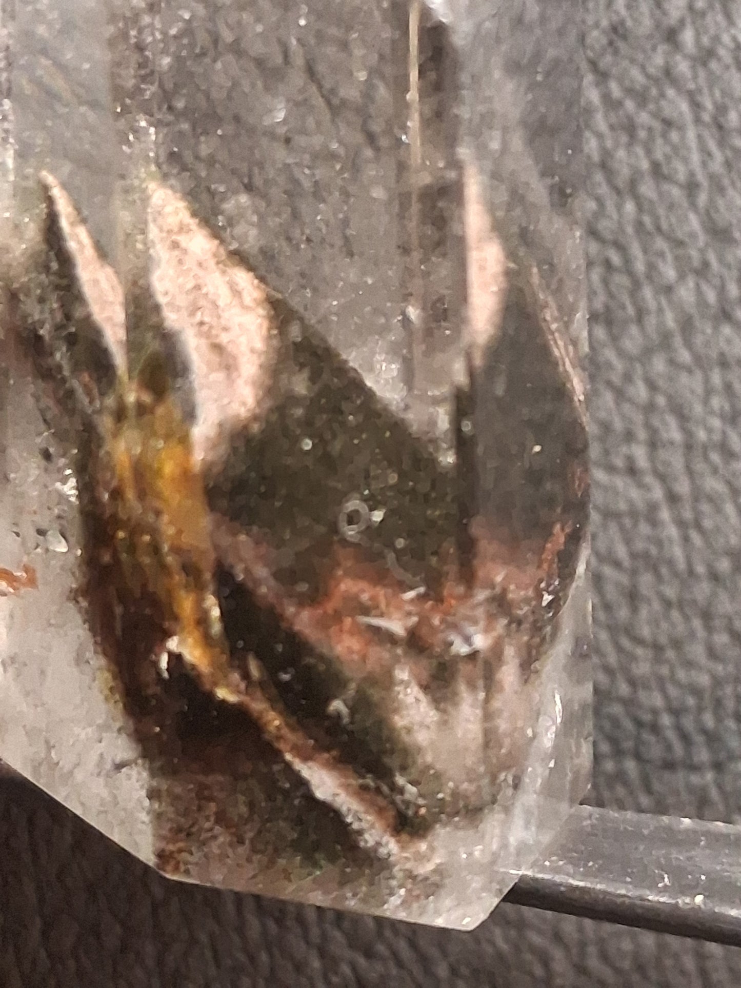 A close-up of a clear quartz crystal point showing natural inclusions, including a dark brown and black feather-like structure and a small yellowish-brown spot, resting on a dark textured surface.