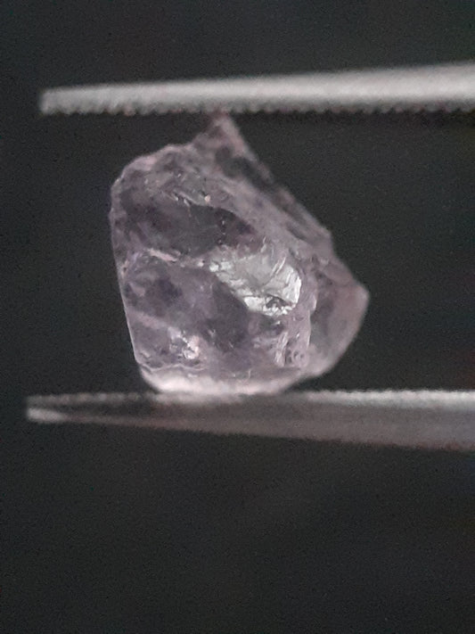 RO-SCAP024PU-002-259