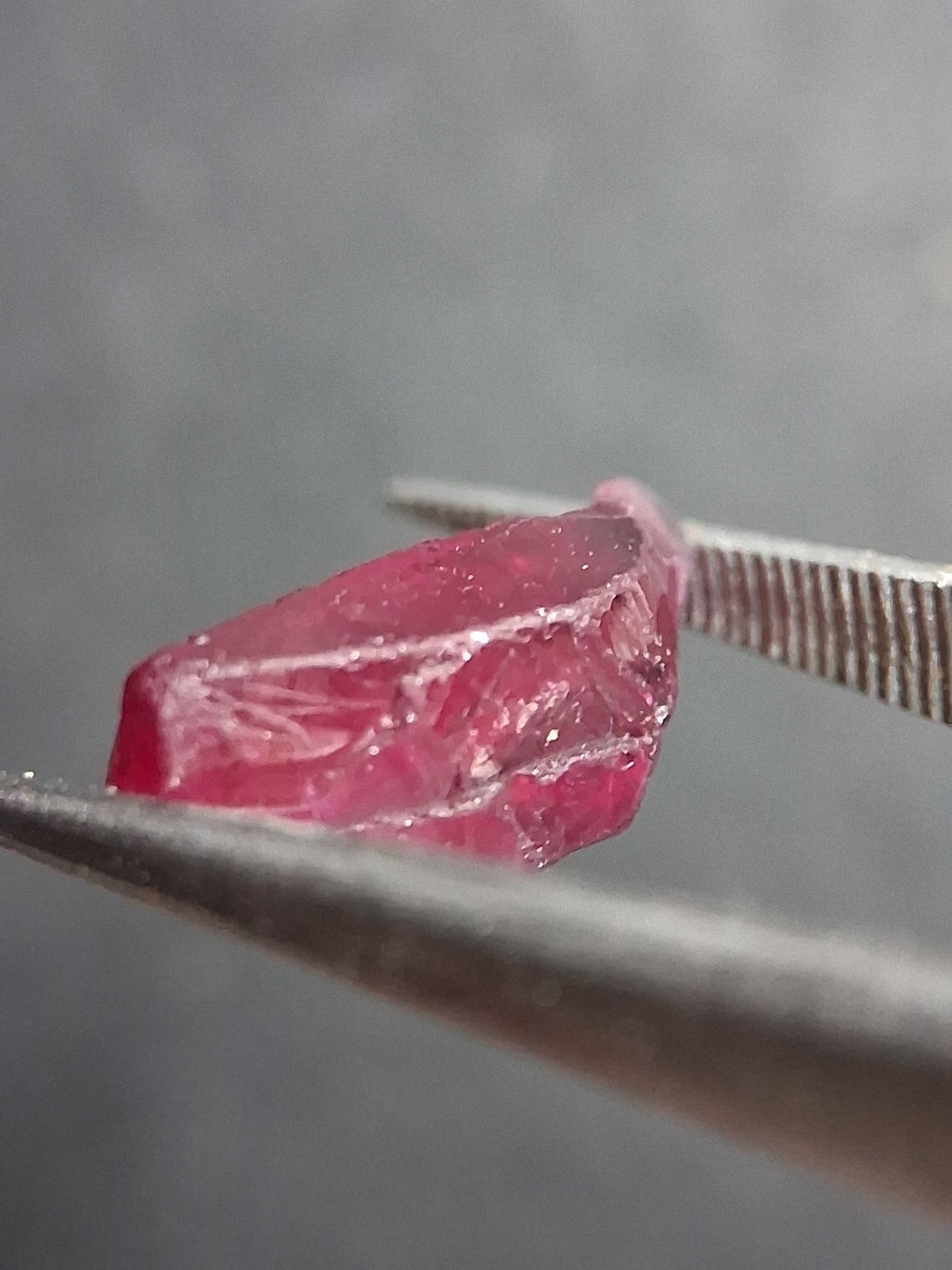 RO-GARN025RH-002-361