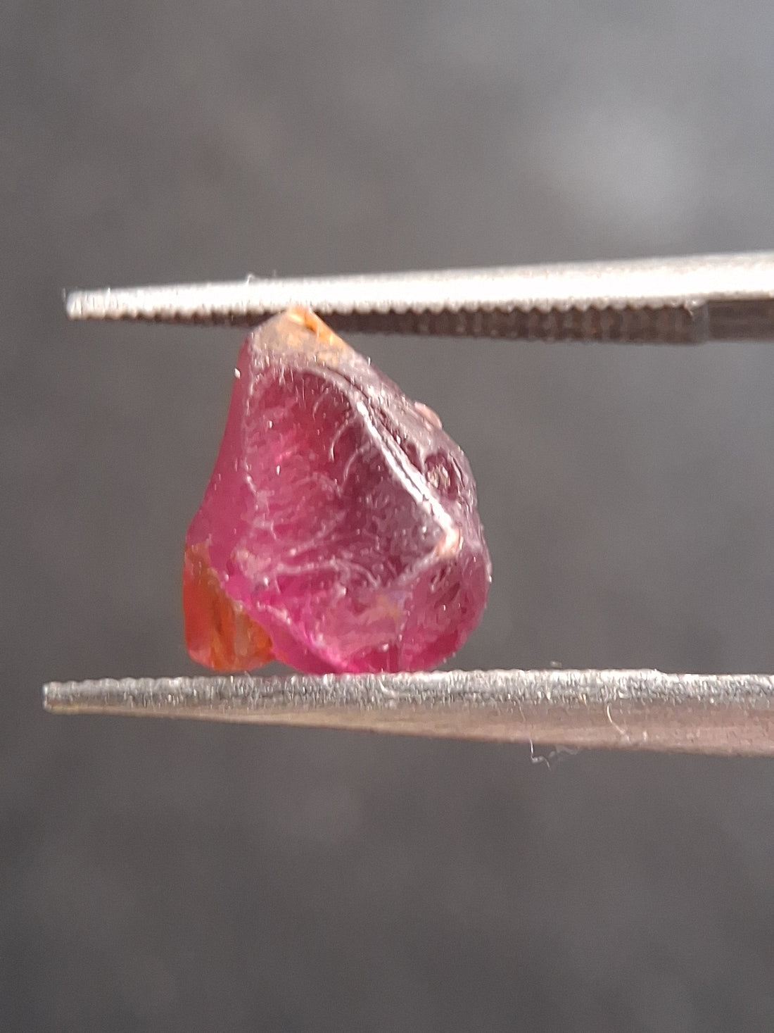 RO-GARN025RH-002-365