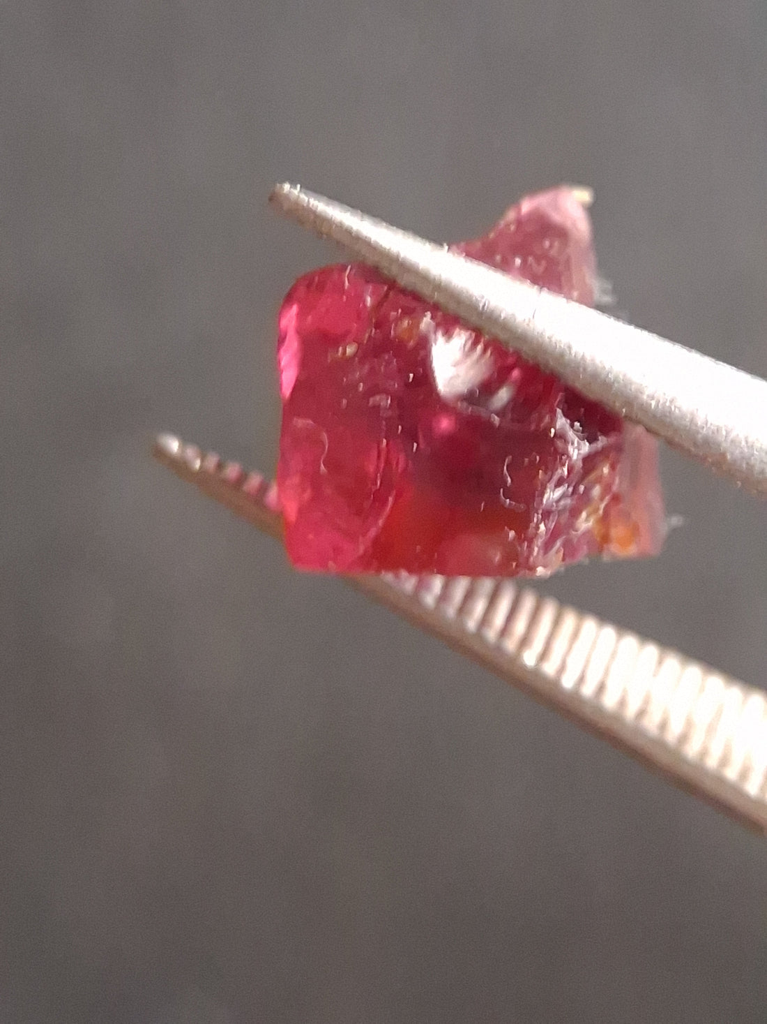 RO-GARN025RH-002-372