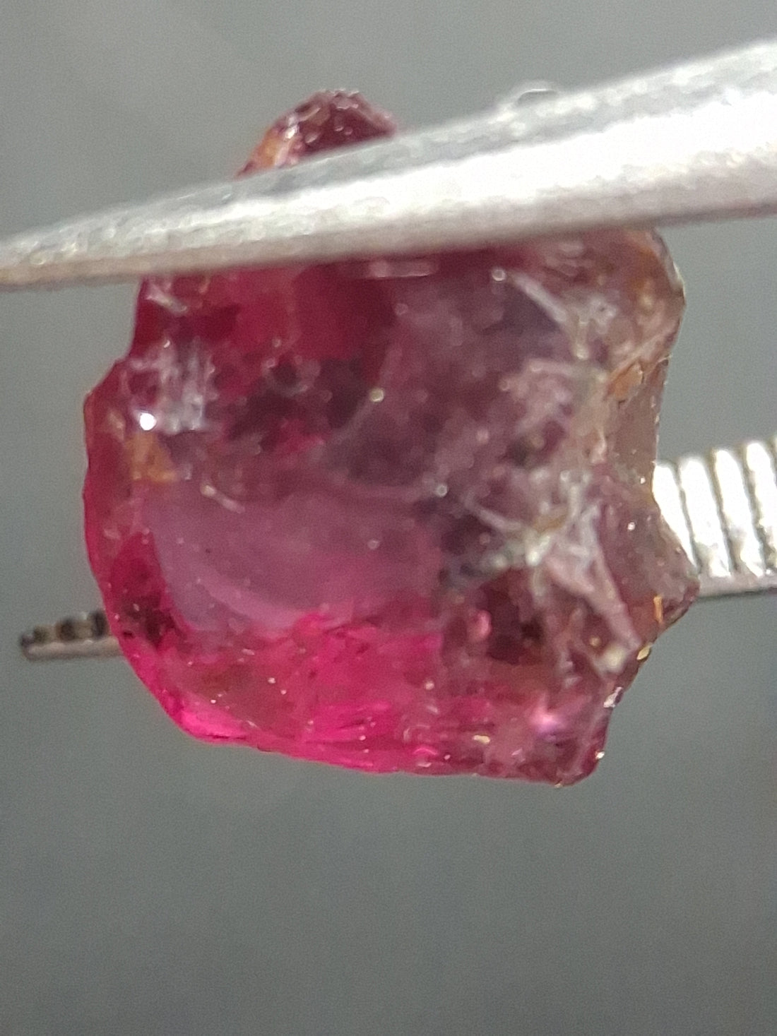RO-GARN025RH-002-376