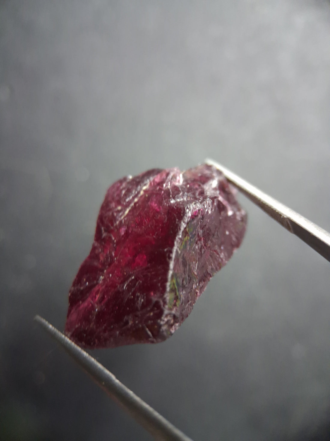 RO-GARN025RH-002-379