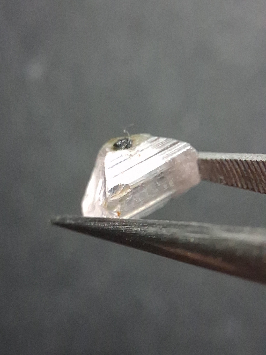 RO-SCAP025LV-002-381