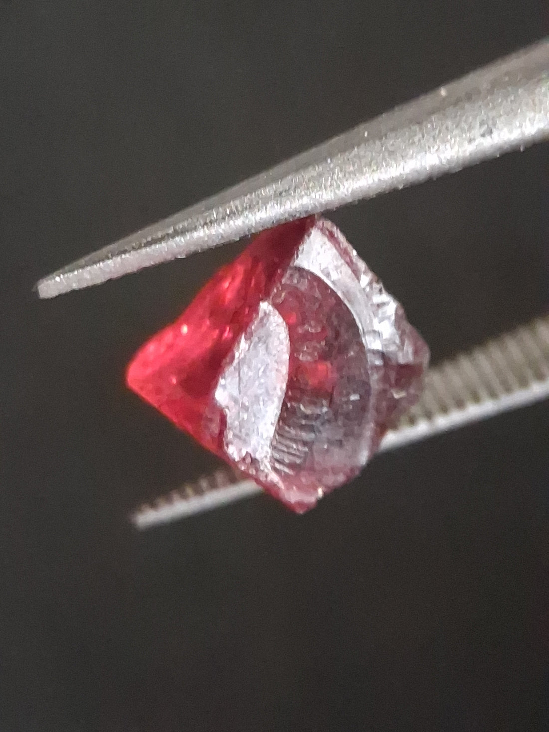 RO-GARN025RH-002-403