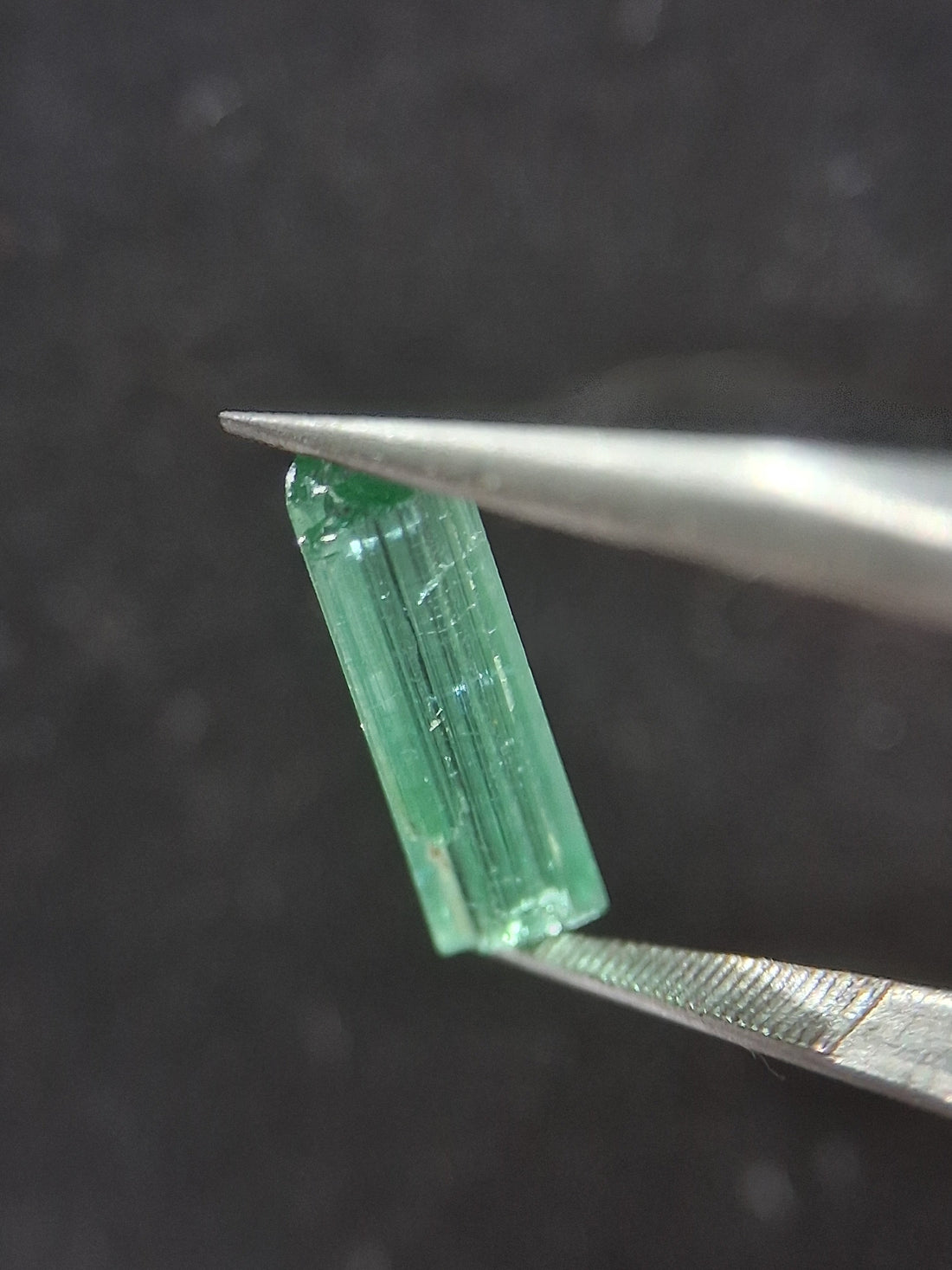 RO-TOUR025BG-002-432