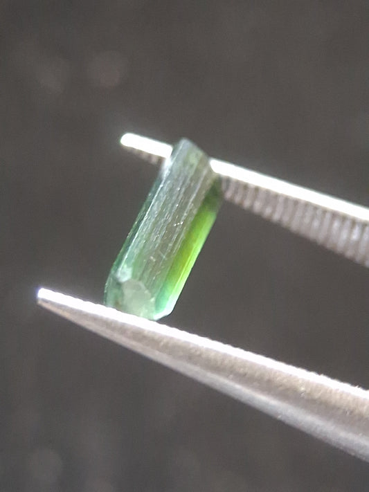 RO-TOUR025BG-002-435