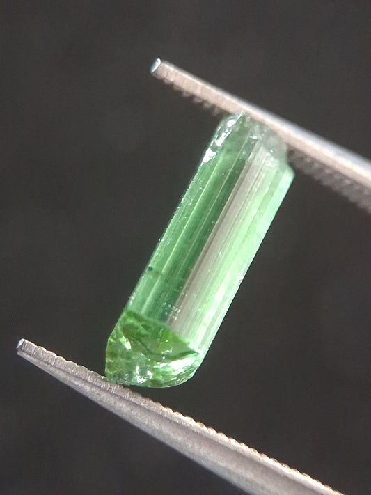 RO-TOUR025BG-002-436