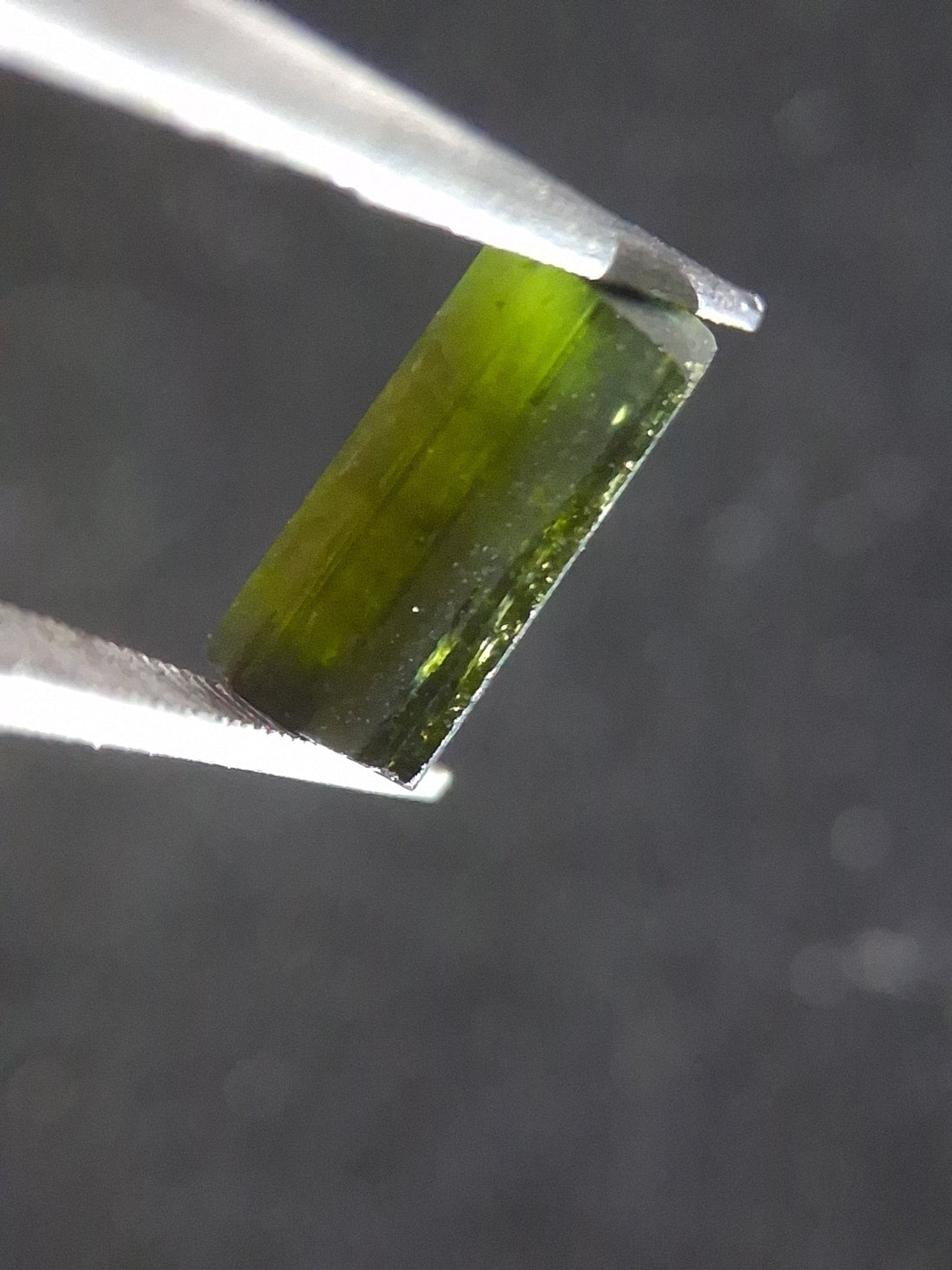 RO-TOUR025BG-002-437