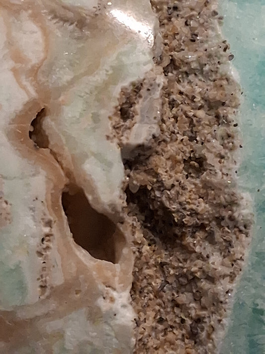 The Biogenic Importance of Aragonite