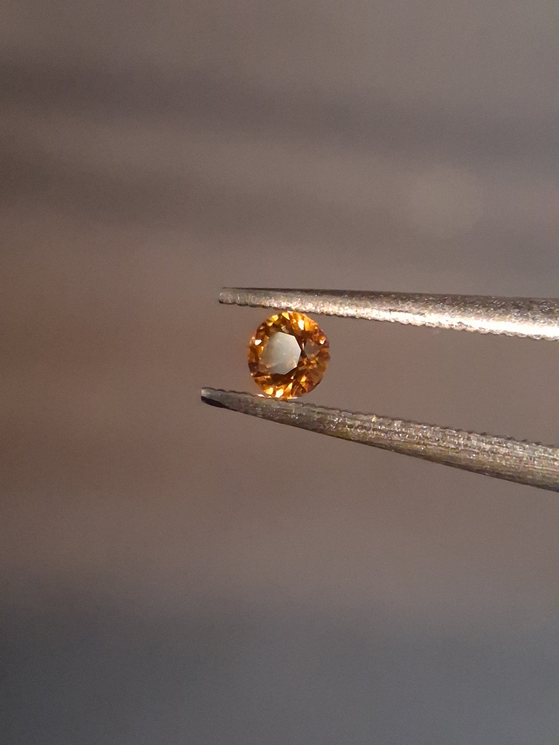 FA-GARN026SP-003-104