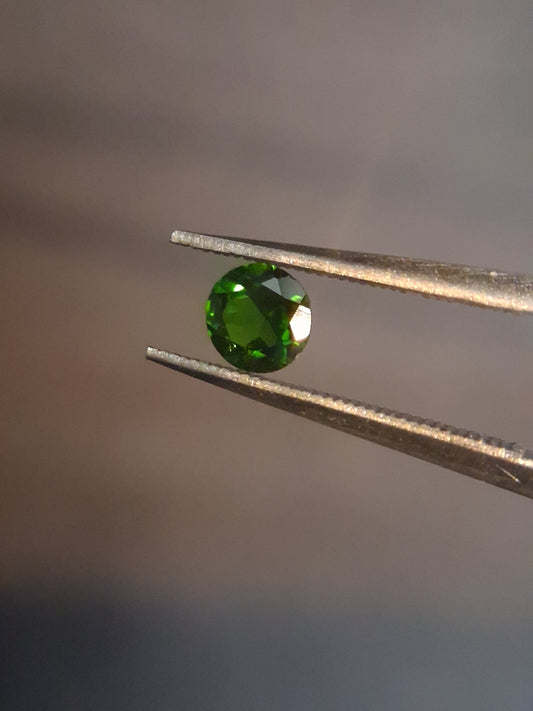 FA-DIOP026CH-003-117