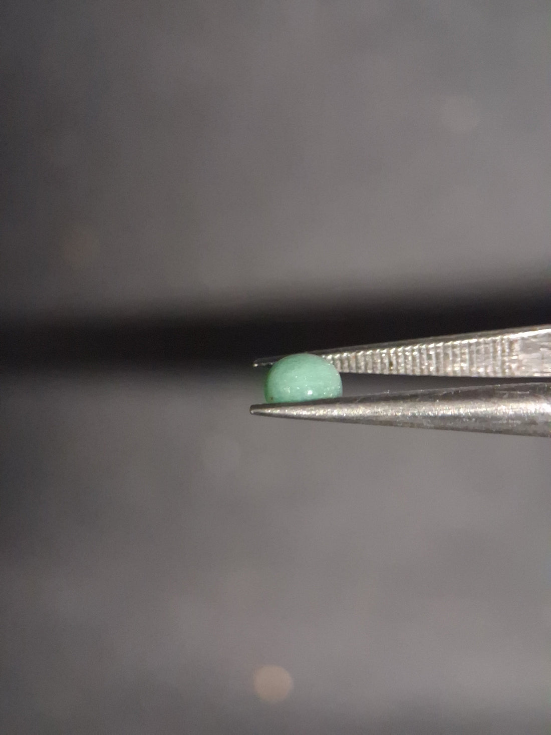 CA-AVEN026GR-003-170