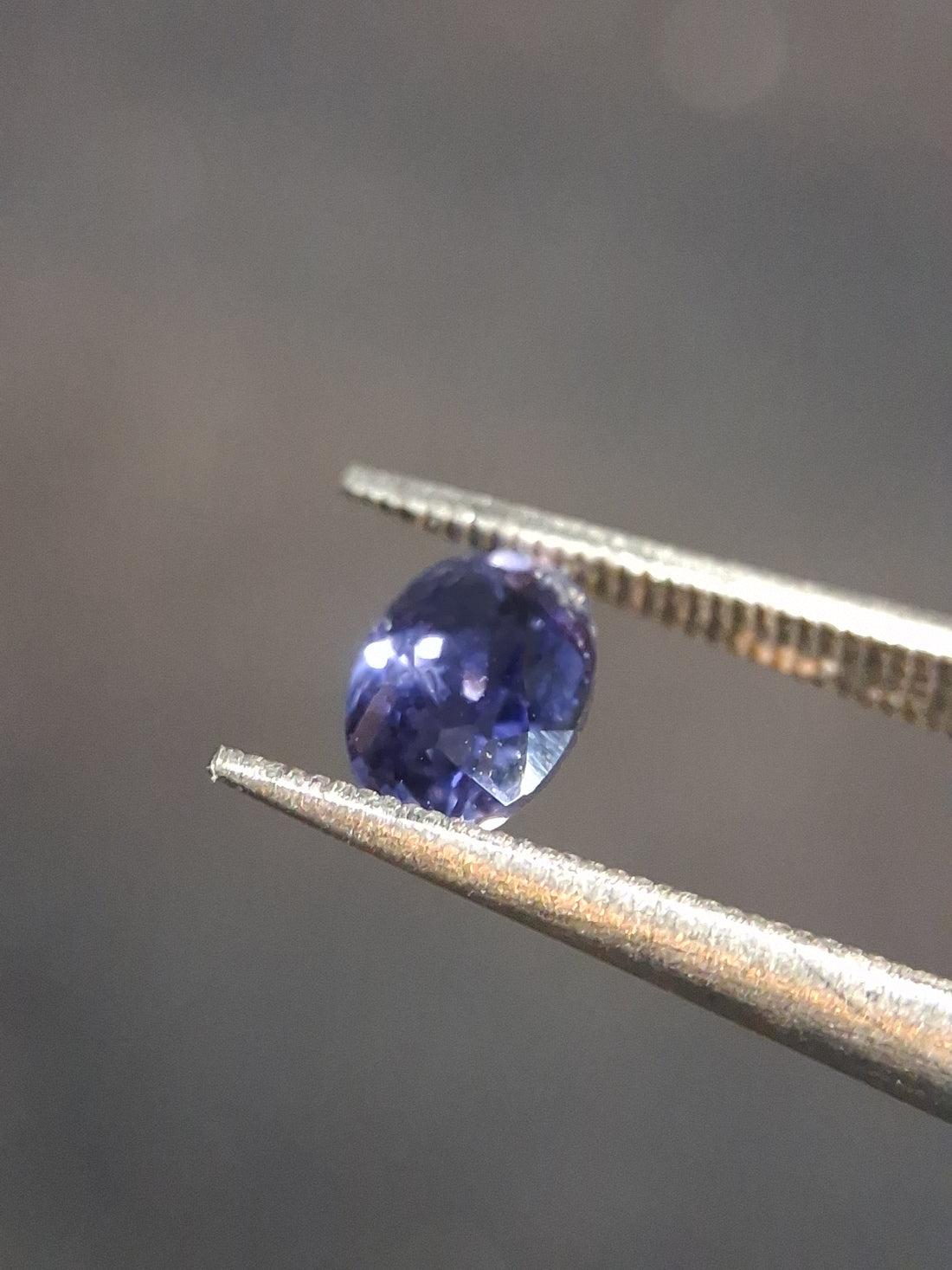 FA-IOLI026BV-003-204