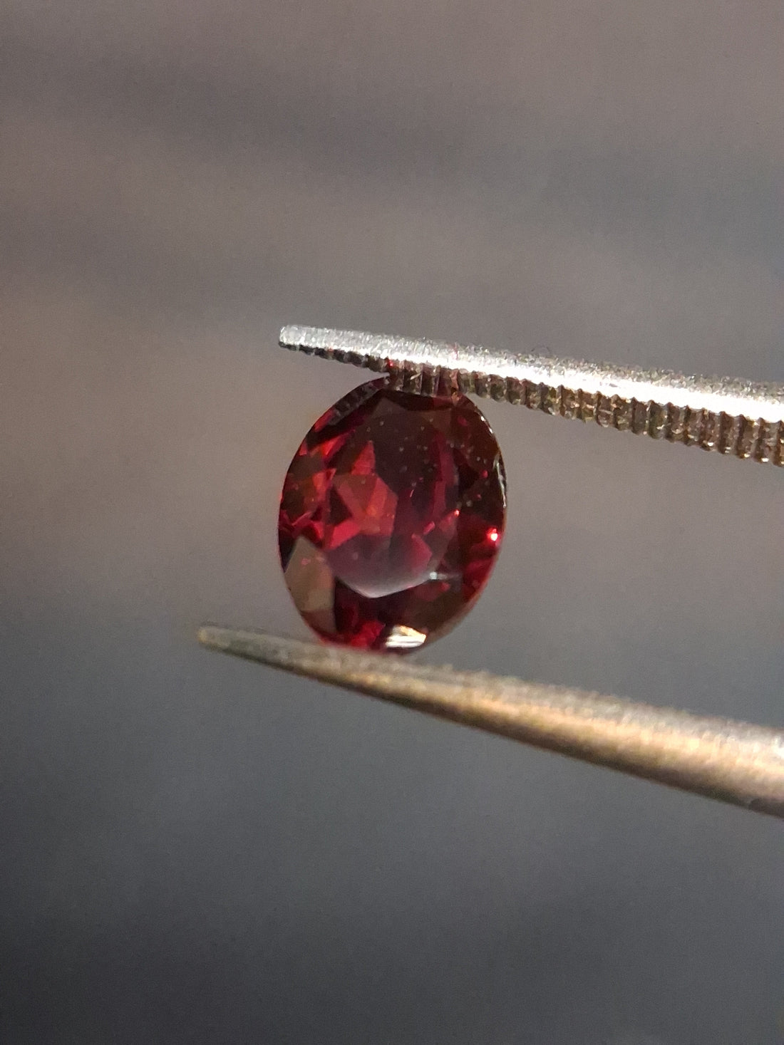 FA-GARN026RE-003-207