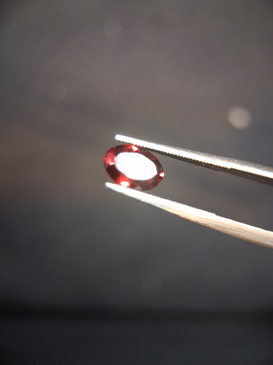 FA-GARN026RE-003-208