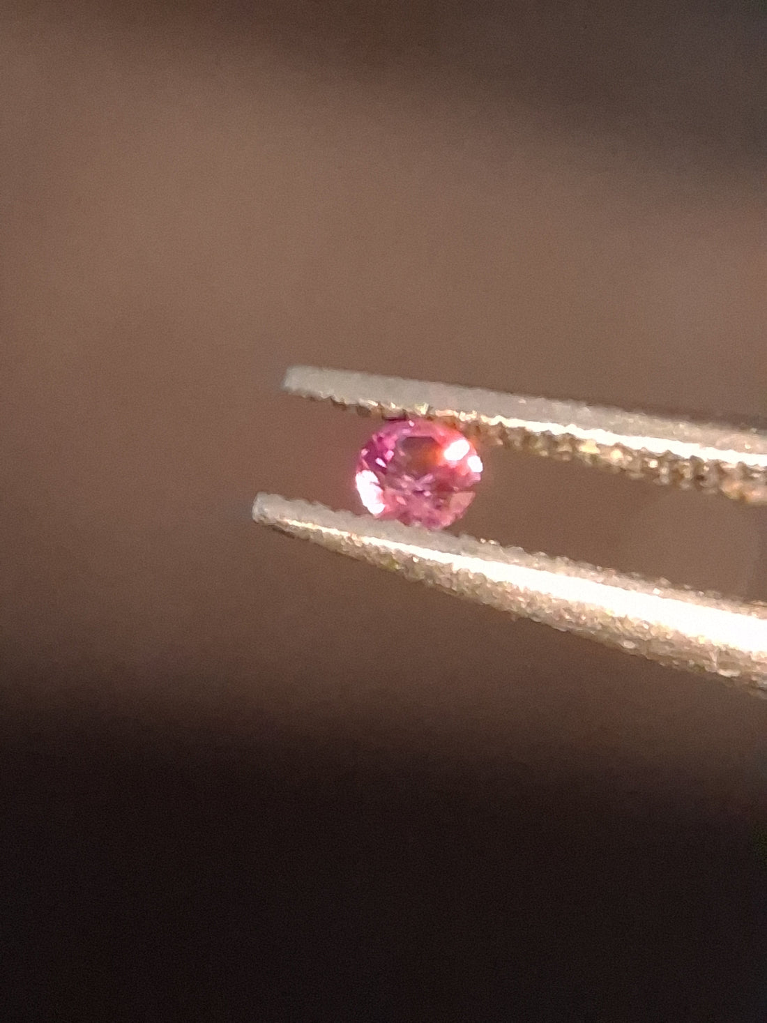 FA-SAPP026PI-003-252