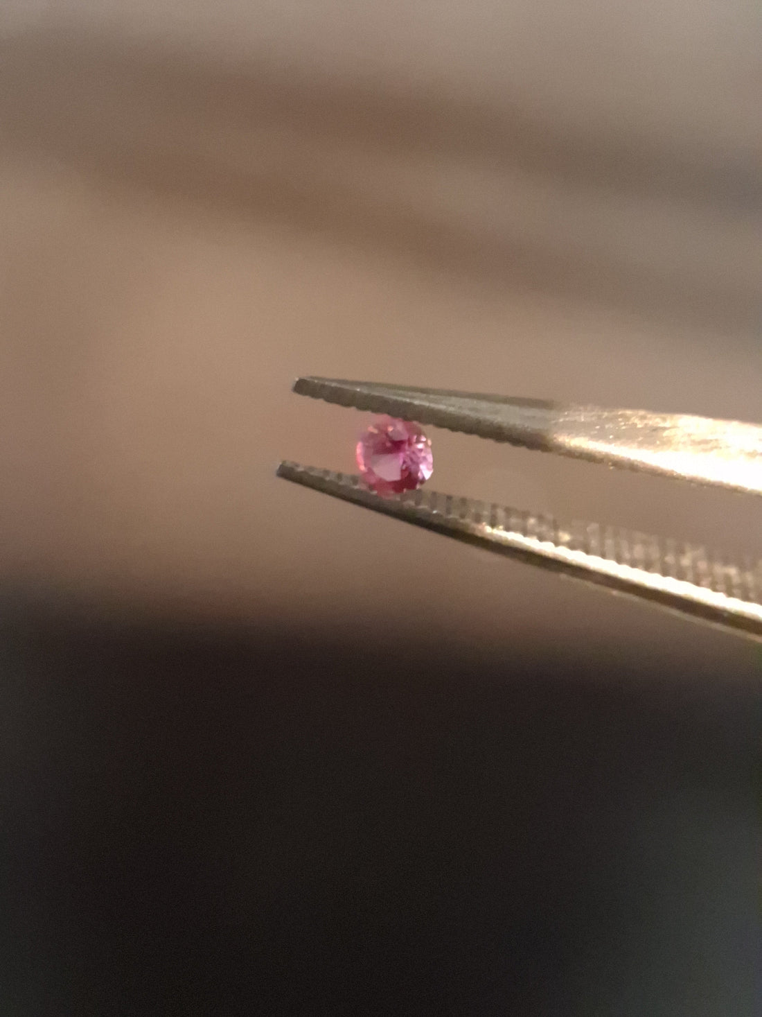 FA-SAPP026PI-003-253