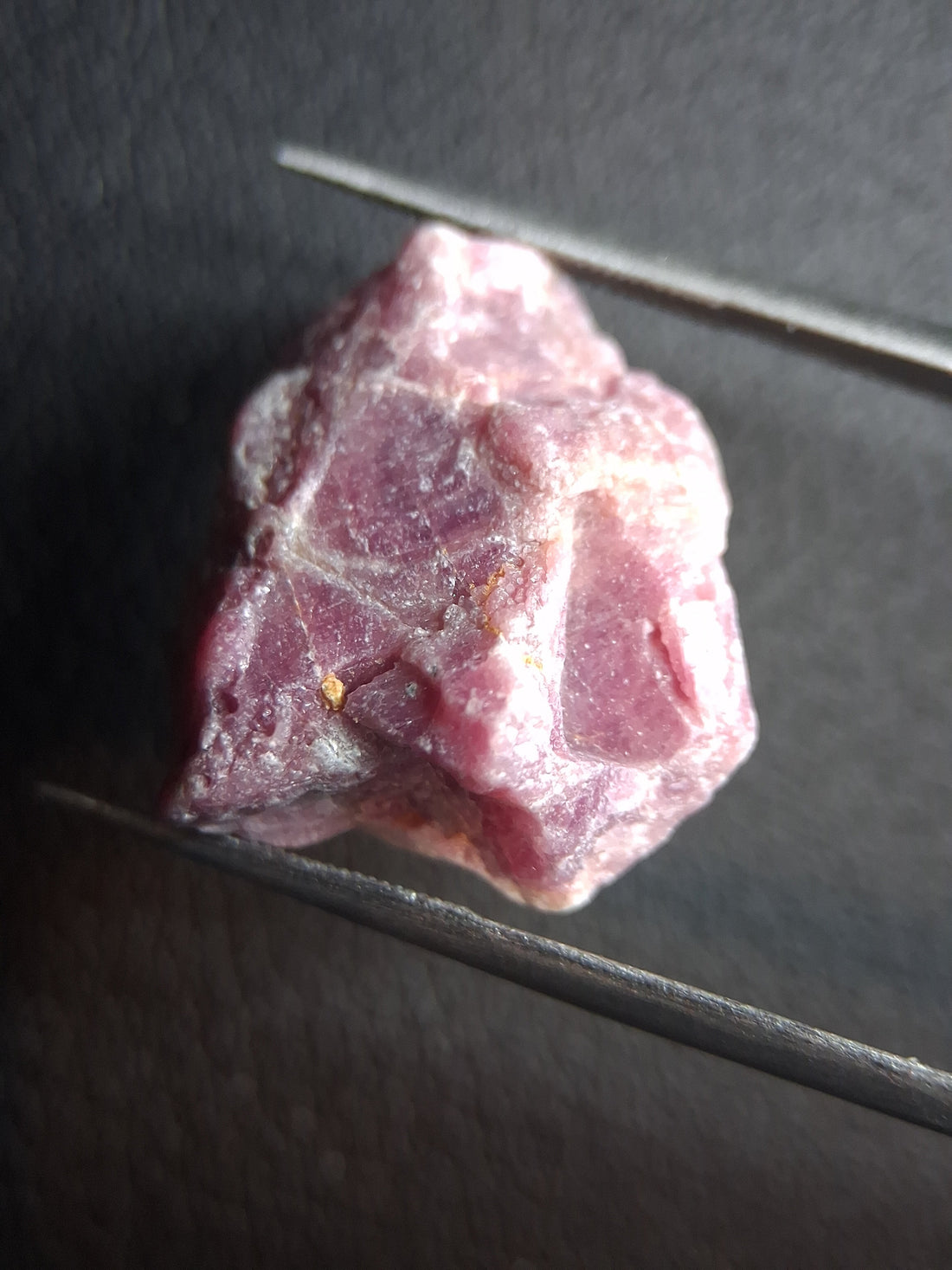 RO-RUBY026PR-003-459