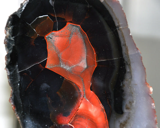 Red Fox Agate: An In-Depth Exploration of This Stunning Gemstone