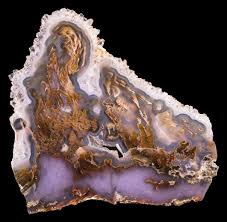 Bull Canyon Agate: A Comprehensive Guide to Oregon's Gemstone Treasure