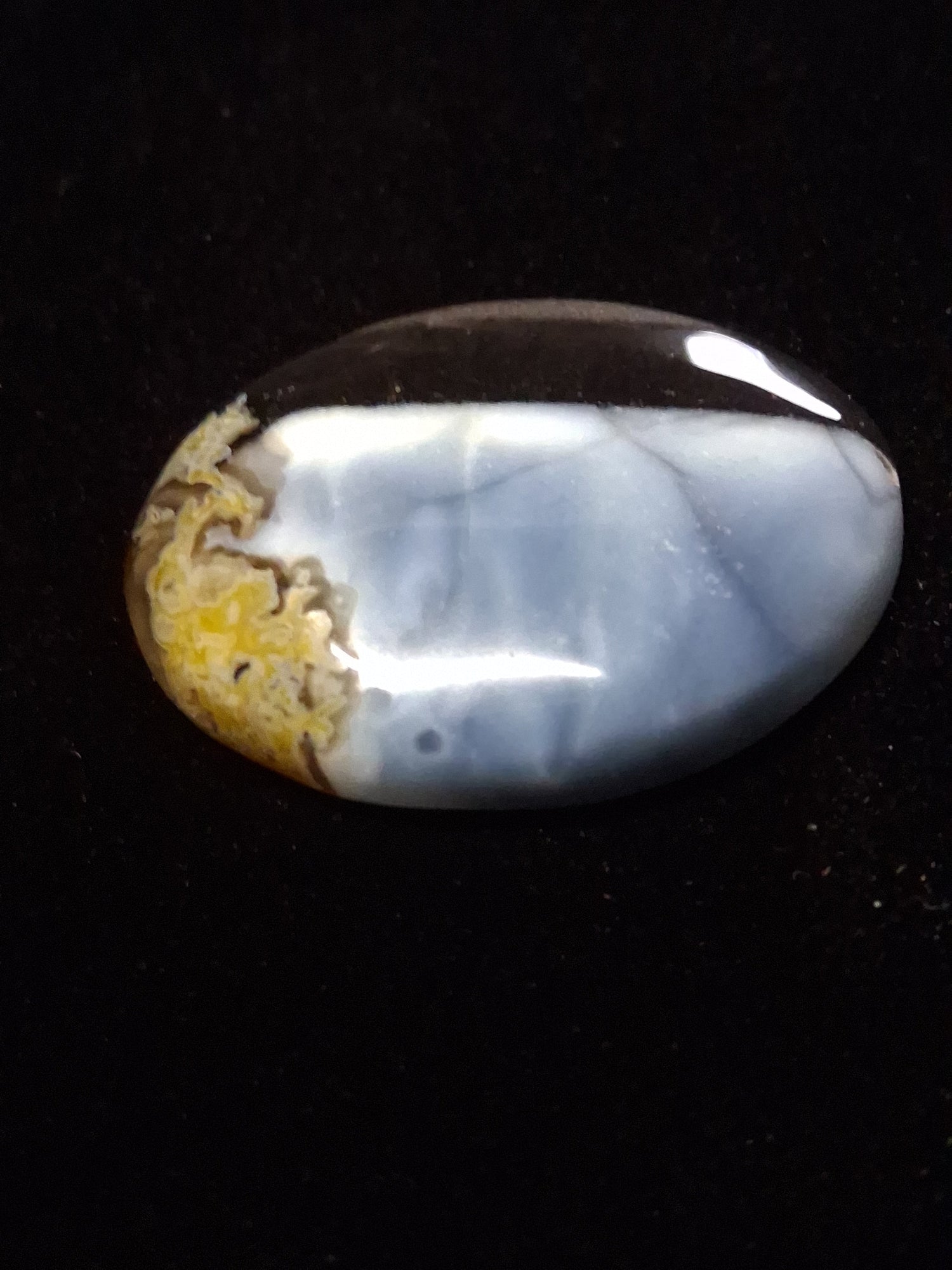 All Opal Gemstones  - Owyhee Blue Opal Cabochons