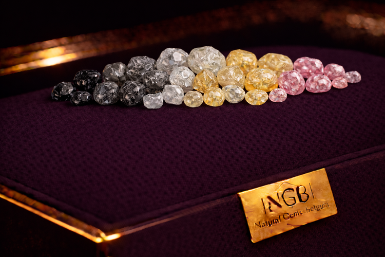 Rough Diamond Gemstones