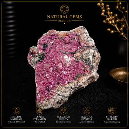Amas de cristaux de calcite cobaltifère rose naturelle sur matrice – 199 g – Spécimen de collection