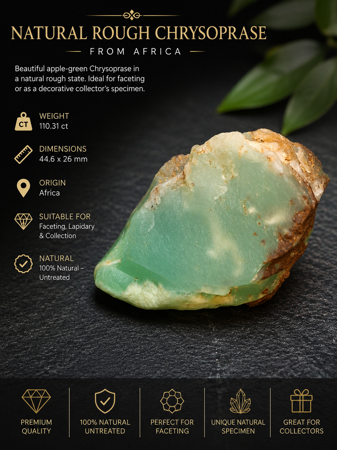 Chrysoprase naturelle brute d'Afrique – 110,31 ct – Spécimen de taille et de collection