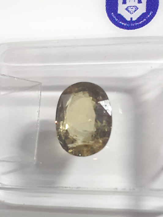 Certified golden needles Natural Sapphire - 1.50 ct - Tanga - Oval - Heated - Sealed - Natural Gems Belgium