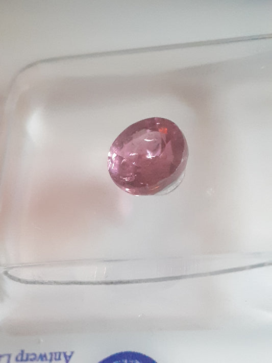 Certified pink tourmaline - 0.88 ct - round brilliant - Sealed - Natural Gems Belgium