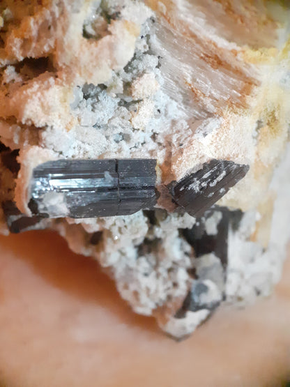 Large Specimen Black Tourmaline with Feldspar 15 cm high ! superb collectors item ! - Natural Gems Belgium