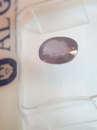 Natural Ovan Purple Spinel -Certified - 1.08 ct - unheated - Sealed - Natural Gems Belgium