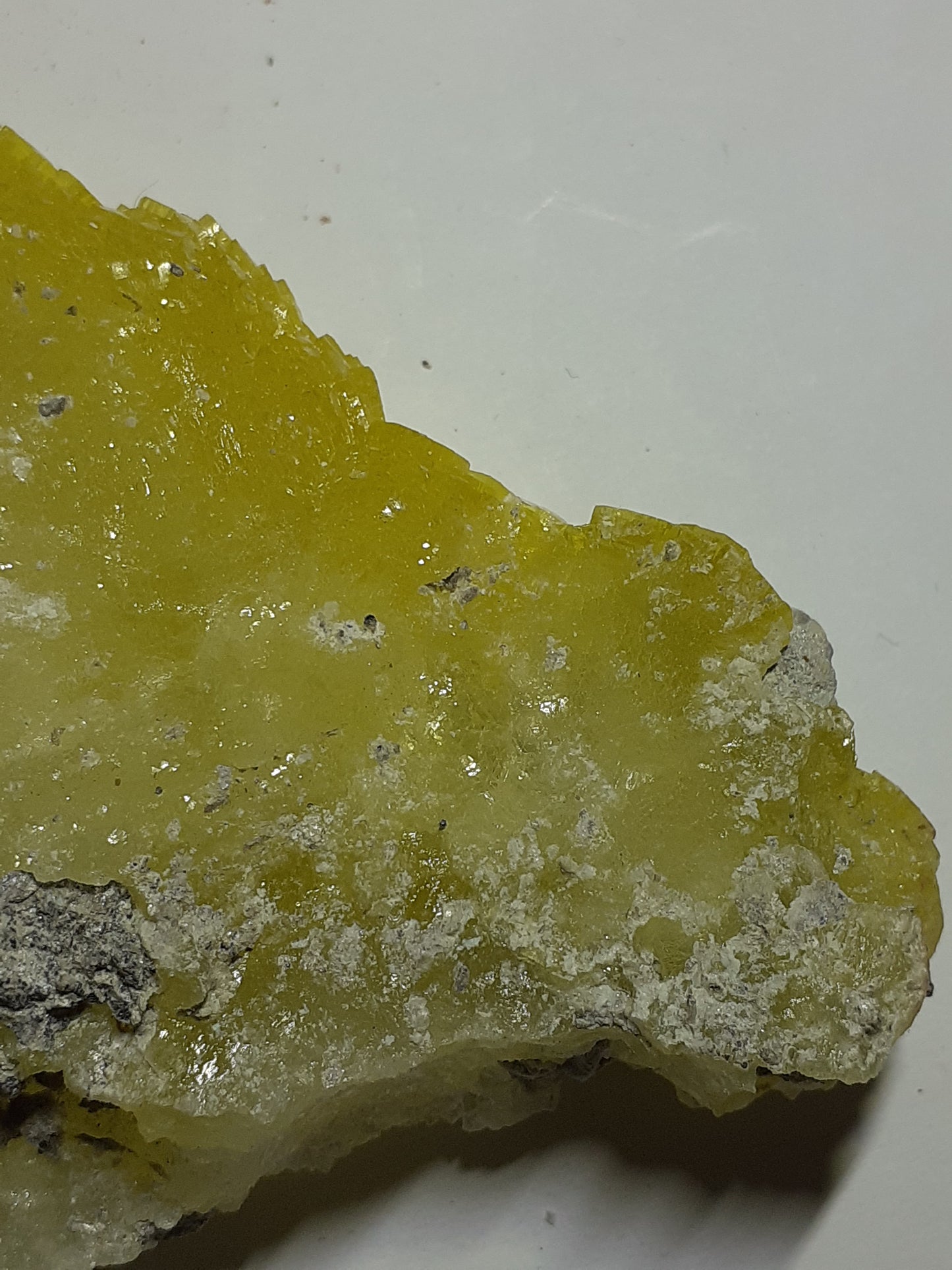 high quality cluster with mainly yellow brucite, rough natural stone, 524.75 ct - Natural Gems Belgium