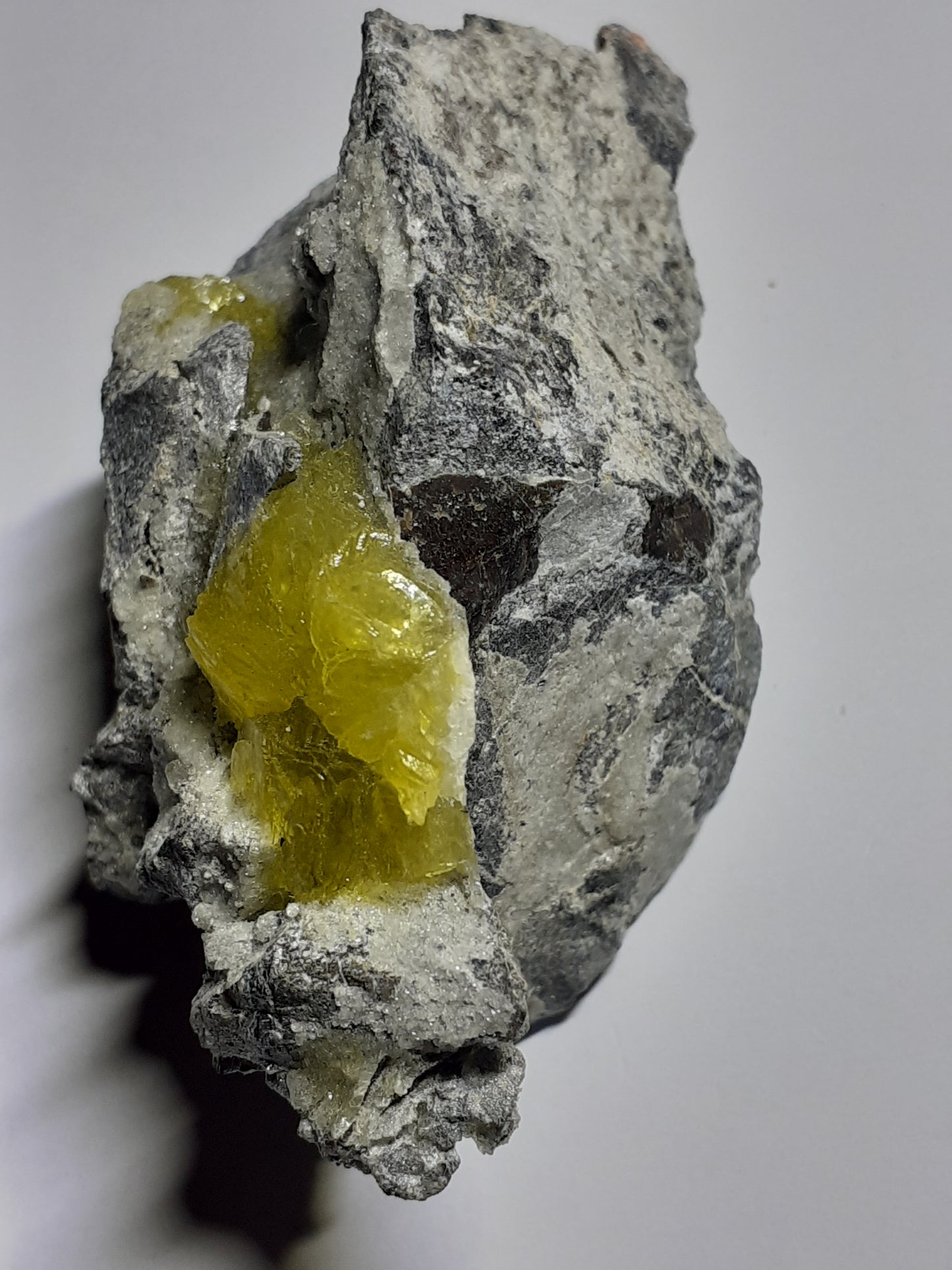 attractive cluster with brucite, rough natural stone, 329.70 ct - Natural Gems Belgium