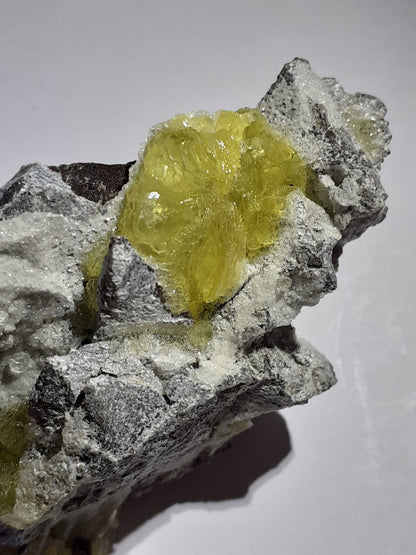 attractive cluster with brucite, rough natural stone, 329.70 ct - Natural Gems Belgium