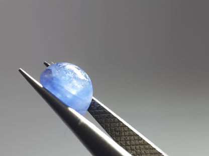 Natural blue Sapphire - 1.28 ct - oval cabochon - Ceylon - heated - certified by NGB - Natural Gems Belgium