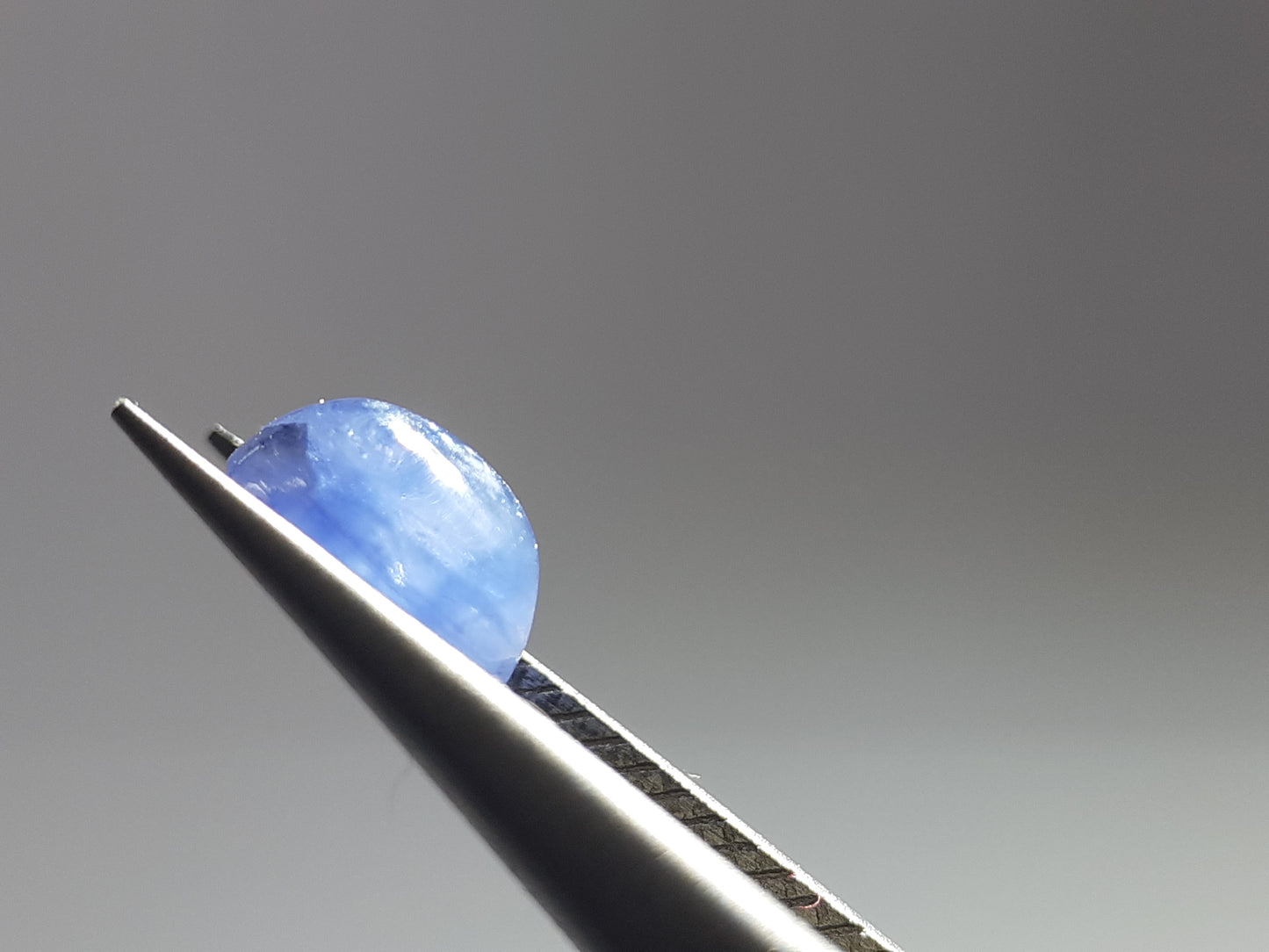 Natural blue Sapphire - 1.28 ct - oval cabochon - Ceylon - heated - certified by NGB - Natural Gems Belgium