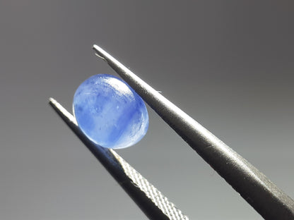 Natural blue Sapphire - 1.28 ct - oval cabochon - Ceylon - heated - certified by NGB - Natural Gems Belgium