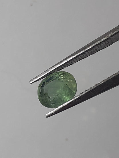 Natural light to deep green sapphire - 1.02 ct - oval - unheated - Australia - certified by NGB - Natural Gems Belgium